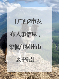 广西2市发布人事信息，梁枫任横州市委书记