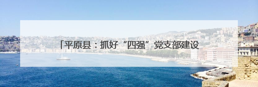 平原县：抓好“四强”党支部建设 打造党旗高高飘扬的战斗堡垒