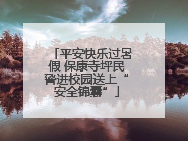 平安快乐过暑假 保康寺坪民警进校园送上“安全锦囊”