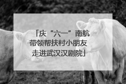庆“六一”南航带领帮扶村小朋友走进武汉汉剧院