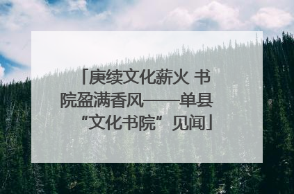 庚续文化薪火 书院盈满香风——单县“文化书院”见闻