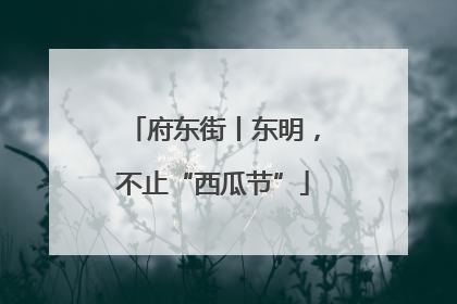 府东街丨东明，不止“西瓜节”