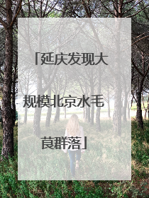 延庆发现大规模北京水毛茛群落