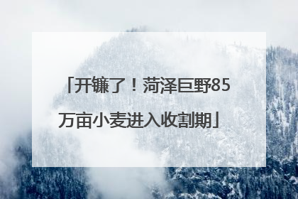 开镰了！菏泽巨野85万亩小麦进入收割期