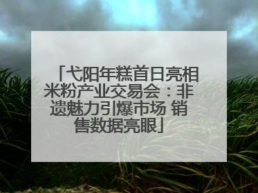 弋阳年糕首日亮相米粉产业交易会：非遗魅力引爆市场 销售数据亮眼