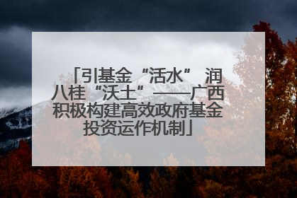 引基金“活水” 润八桂“沃土”——广西积极构建高效政府基金投资运作机制