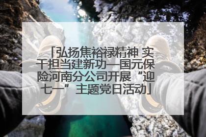 弘扬焦裕禄精神 实干担当建新功—国元保险河南分公司开展“迎七一”主题党日活动