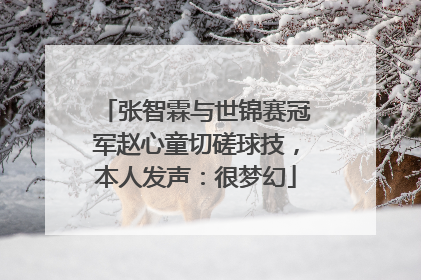 张智霖与世锦赛冠军赵心童切磋球技，本人发声：很梦幻