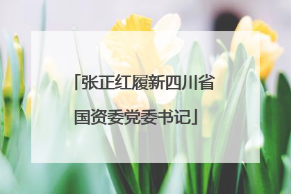 张正红履新四川省国资委党委书记