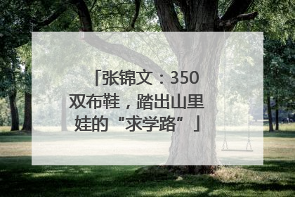 张锦文：350双布鞋，踏出山里娃的“求学路”