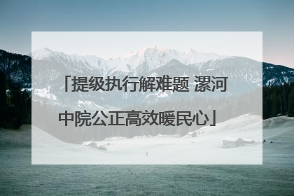提级执行解难题 漯河中院公正高效暖民心