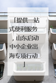 提供一站式便利服务，山东启动中小企业出海专项行动
