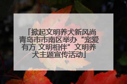 掀起文明养犬新风尚 青岛市市南区举办“宠爱有方 文明相伴”文明养犬主题宣传活动