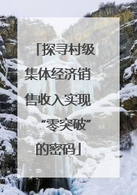 探寻村级集体经济销售收入实现“零突破”的密码