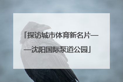 探访城市体育新名片——沈阳国际泵道公园