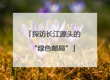 探访长江源头的“绿色邮局”