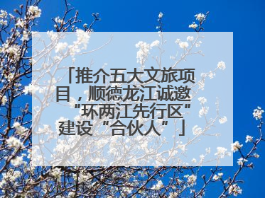 推介五大文旅项目，顺德龙江诚邀“环两江先行区”建设“合伙人”