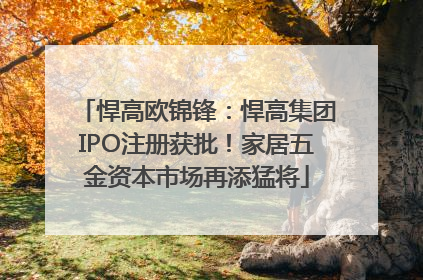 悍高欧锦锋：悍高集团IPO注册获批！家居五金资本市场再添猛将