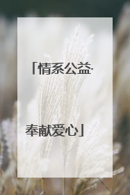 情系公益·奉献爱心