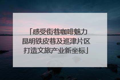 感受街巷咖啡魅力 昆明铁皮巷及巡津片区打造文旅产业新坐标