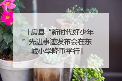 房县“新时代好少年”先进事迹发布会在东城小学隆重举行