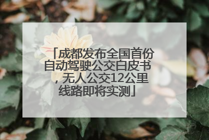 成都发布全国首份自动驾驶公交白皮书，无人公交12公里线路即将实测