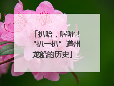 扒哈，喔嚯！“扒一扒”道州龙船的历史