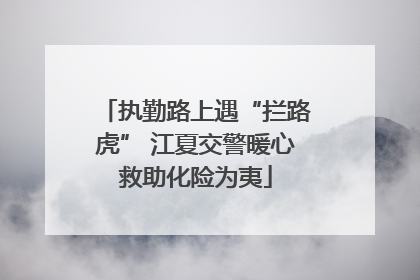 执勤路上遇“拦路虎” 江夏交警暖心救助化险为夷