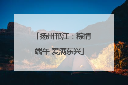 扬州邗江：粽情端午 爱满东兴