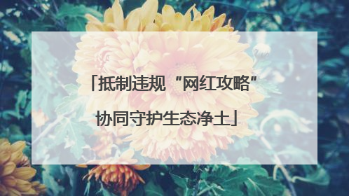 抵制违规“网红攻略” 协同守护生态净土