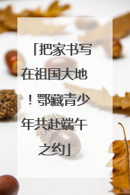 把家书写在祖国大地！鄂藏青少年共赴端午之约