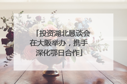 投资湖北恳谈会在大阪举办，携手深化鄂日合作
