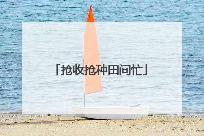 抢收抢种田间忙