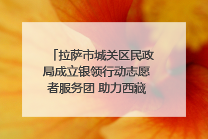 拉萨市城关区民政局成立银领行动志愿者服务团 助力西藏银发经济发展