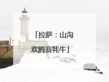拉萨：山沟欢腾赛牦牛