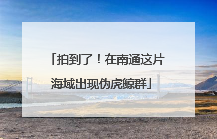 拍到了！在南通这片海域出现伪虎鲸群