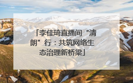 李佳琦直播间“清朗”行：共筑网络生态治理新桥梁