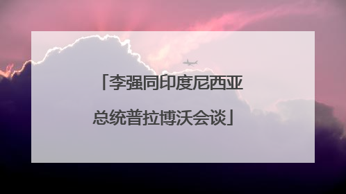 李强同印度尼西亚总统普拉博沃会谈