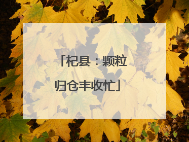 杞县：颗粒归仓丰收忙