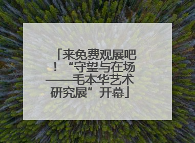 来免费观展吧！“守望与在场——毛本华艺术研究展”开幕