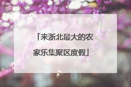 来浙北最大的农家乐集聚区度假