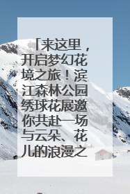 来这里，开启梦幻花境之旅！滨江森林公园绣球花展邀你共赴一场与云朵、花儿的浪漫之约