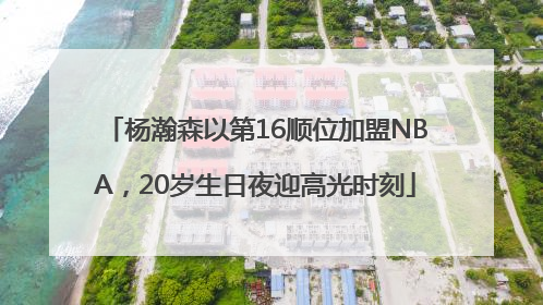 杨瀚森以第16顺位加盟NBA，20岁生日夜迎高光时刻