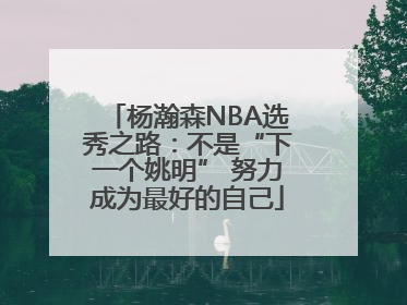 杨瀚森NBA选秀之路：不是“下一个姚明” 努力成为最好的自己
