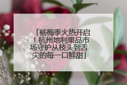 杨梅季火热开启！杭州地利果品市场守护从枝头到舌尖的每一口鲜甜