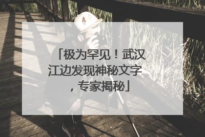 极为罕见！武汉江边发现神秘文字，专家揭秘