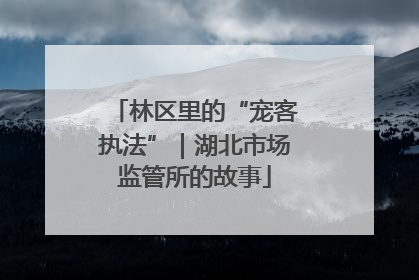 林区里的“宠客执法”｜湖北市场监管所的故事
