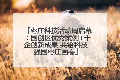 枣庄科技活动周启幕：国创区优秀案例+千企创新成果 共绘科技强国枣庄画卷