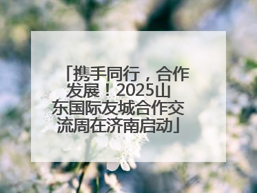 携手同行，合作发展！2025山东国际友城合作交流周在济南启动