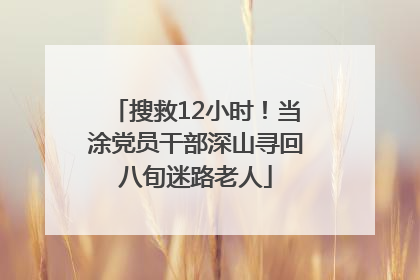 搜救12小时！当涂党员干部深山寻回八旬迷路老人